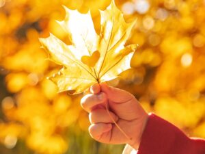 Wincanton Cares Autumn